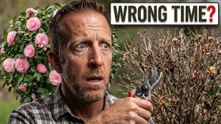 Prune Camellias at the Wrong Time? Here's What Happens