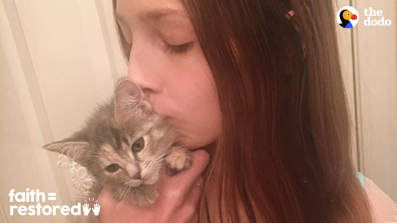 12-Year-Old Girl Fosters Kittens Nonstop | The Dodo Faith = Restored