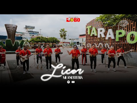 El Lobo - Licor Mi Anestesia (Video Oficial)