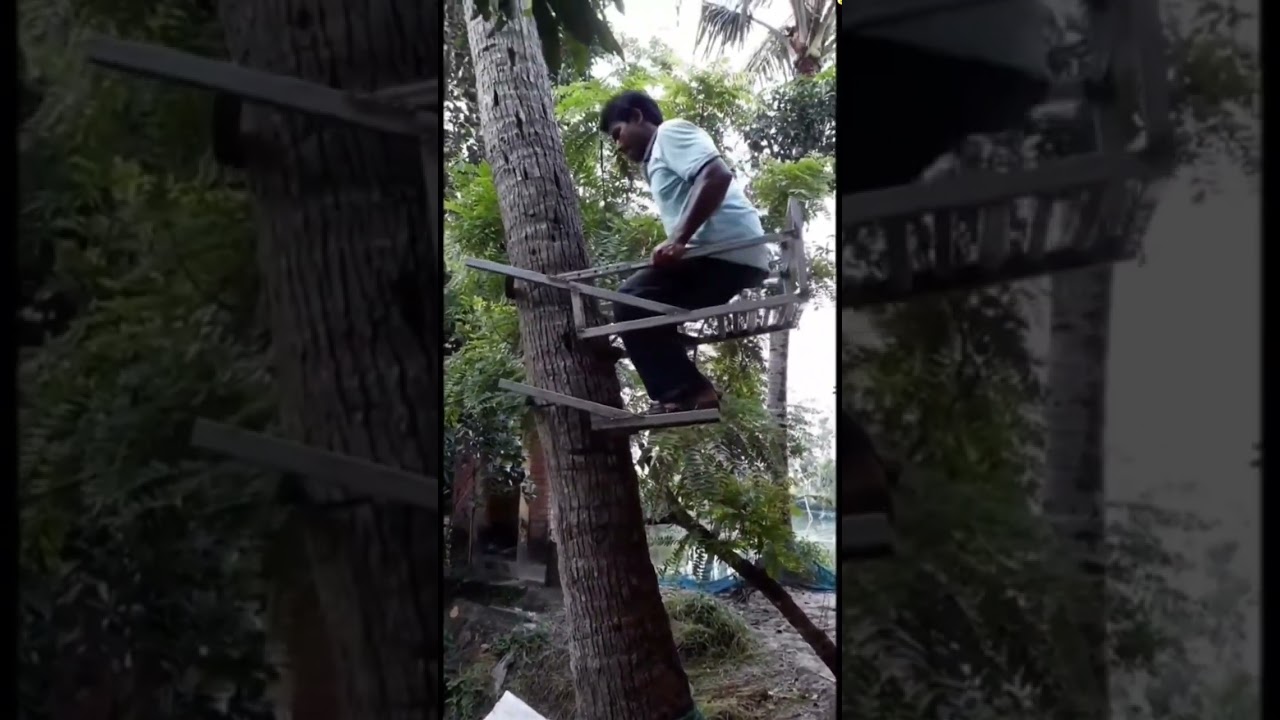 Equipamento para subir em árvores 🌲🌳O que vocês acharam proprietários......#EngenhariaPeloMundo
