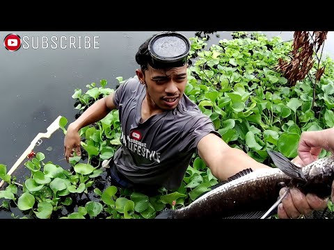 EP155 P2 MAMAW NA DALAG SA ILALIM NG WATER LILIES | SAMPALOK LAKE