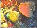 1992