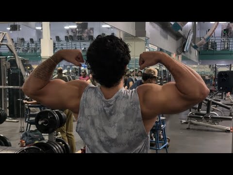 Winter Bulk Day 108: Arms // 213.0 lb