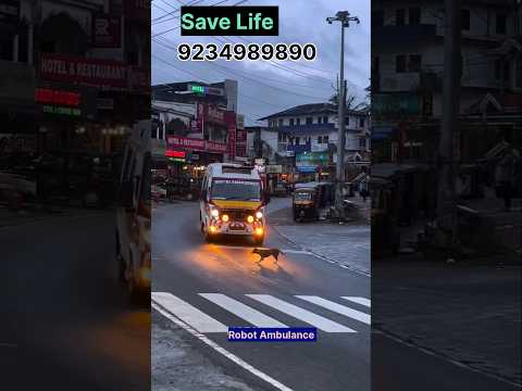 The ambulance saved the dog's life || #ambulance #yt #health #dog #life #savings #accidente #driving