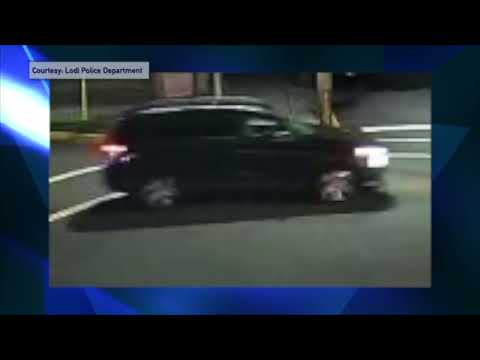 Lodi Hit And Run