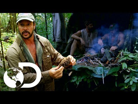 Joe uses a termite mound to make a fire in the jungle | Challenge x 2 | Discovery Latin America