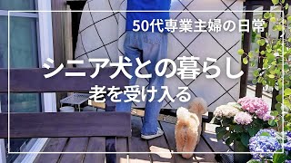 暮らしのvlog / シニア犬との暮らし / 主婦の昼ごはん / 老化が止まらない / 50代専業主婦の日常 / 犬のいる暮らし