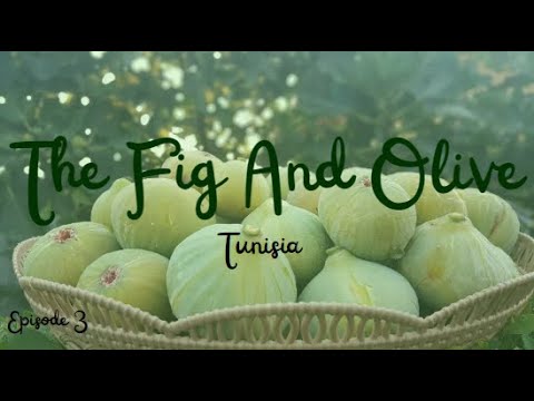 The Fig and Olive ( Tour to Tunisia ) { Episode 3 }