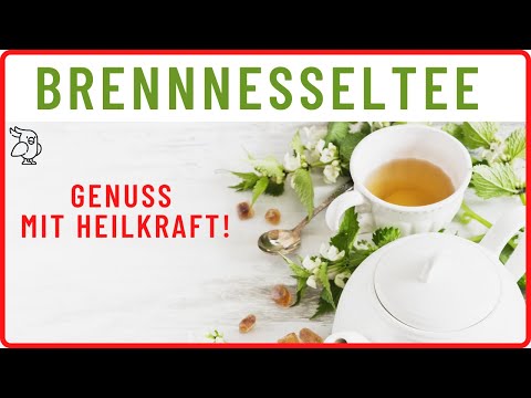 ✅6 POSITIVE EFFECTS OF NETTLE TEA✅ what you should know about nettle tea!