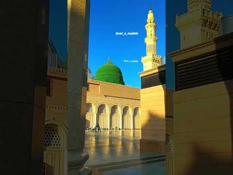 #jand #wali #sarkar #flowers #love #vlog #beautiful #live