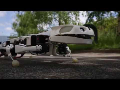 脊椎動物の動きを模倣した新しいロボット (A new robot mimics vertebrate motion)