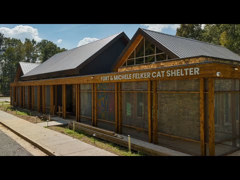 Furkids in 2023: New Beginnings and Exciting Changes!