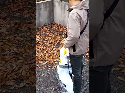 庭の枯れ葉をどう活用するか？それらを分解するためのヒントとテクニック  庭園