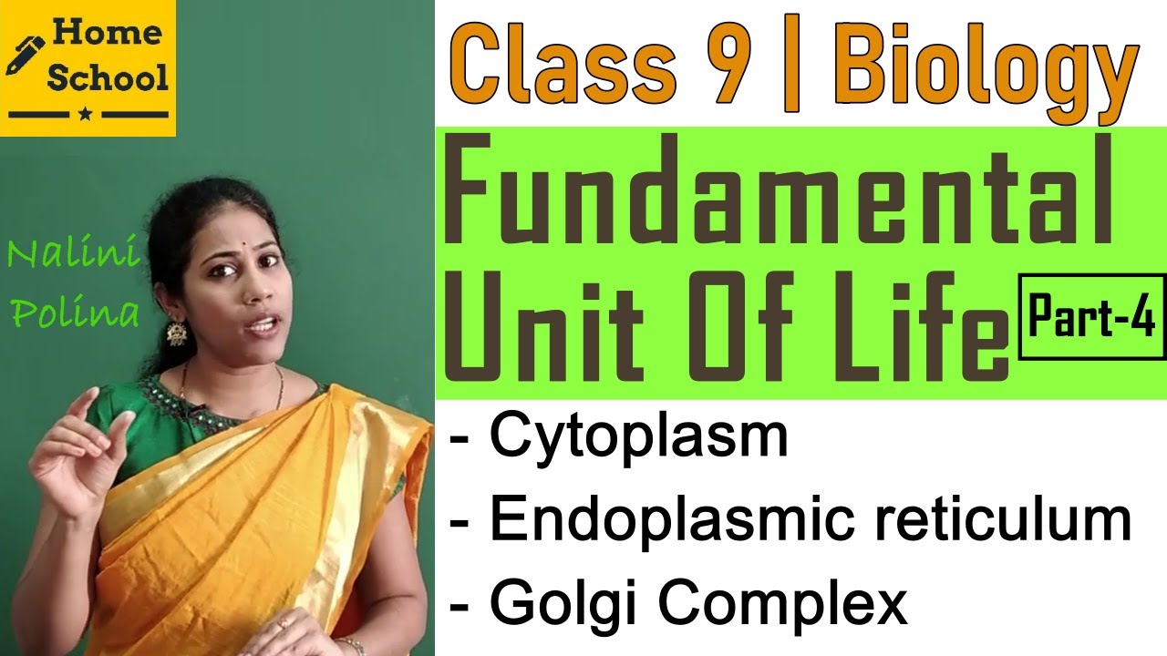 Fundamental Unit Of Life Class 9 biology  Part-4