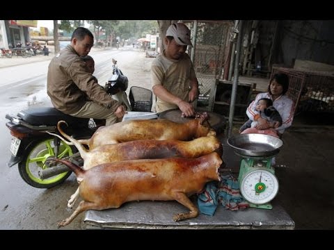 10 Best street foods in Phnom Penh Cambodia