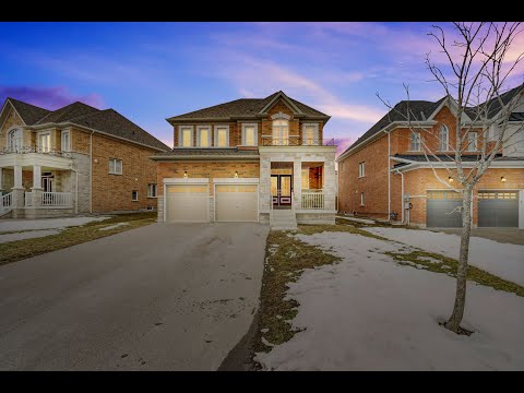 58 Manor Forest Road, Mount Albert