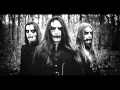 Bloodstains on the Captain's Log vocal cover ...
