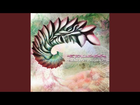 Conciencia Multidimensional