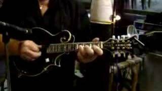 COLD GREY LIGHT OF GONE