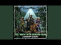 Gator's Groove