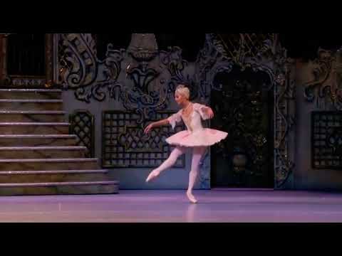 NUTCRACKER - Sugar Plum Fairy (Francesca Hayward - Royal Ballet)