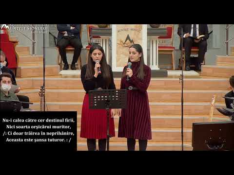 Surorile Bumbar....Pe drumul către Patria Iubirii