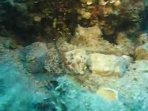 Insel Cres, Diving Center Cres, Tauchplatz 3 Zinnen, Insel Cres,Kroatien