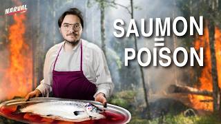 Le saumon tue