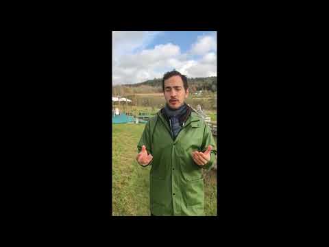 Plantera ett träd - Eco Agroforestry Center