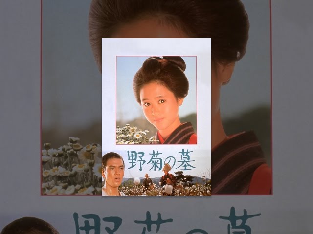 野菊の墓