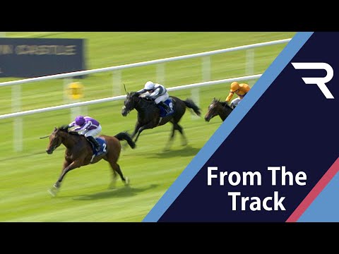 LITTLE BIG BEAR cannot be tamed at The Curragh - impressive winner of the Anglesey Stakes