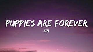 Sia – Puppies Are Forever (Lyrics)