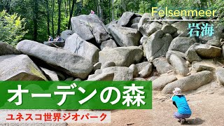 【ドイツ風景散歩】ユネスコ世界ジオパーク・オーデンの森の岩海散策 | Das Felsenmeer im Odenwald【旅レポ】