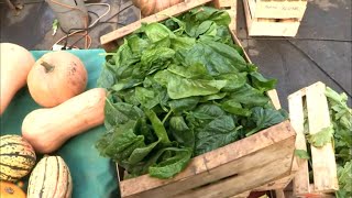 Thumbnail del capítulo