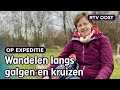 Wandelen in Twente: geen Pieterpad, maar een mythepad | RTV Oost