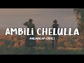 Ambili Chelulla Slowed And Reverb Malayalam Lyrics