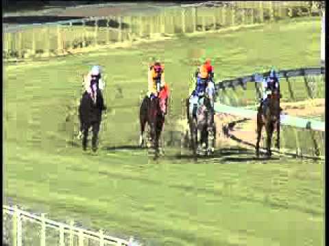 Berrigan Trial 5/9/2015