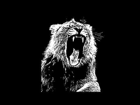 Knife Party vs. Martin Garrix Mashup- LRANIMALS (Remix)