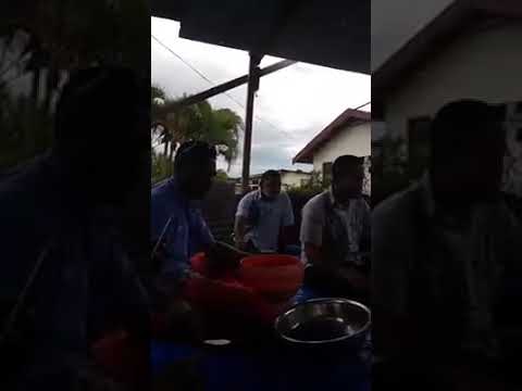 Plantation Island String Band