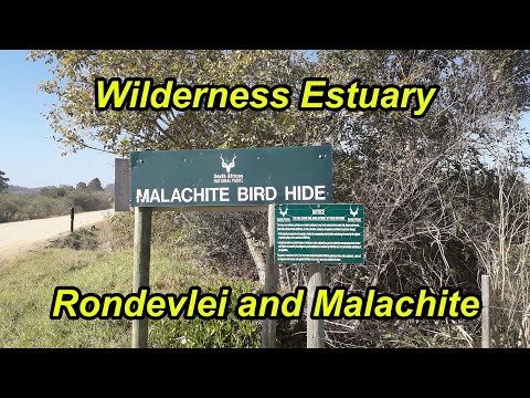 Road Trip to George - Rondelvlei reveal [so close to nature]