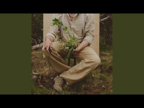 Blommor - Jens Hult