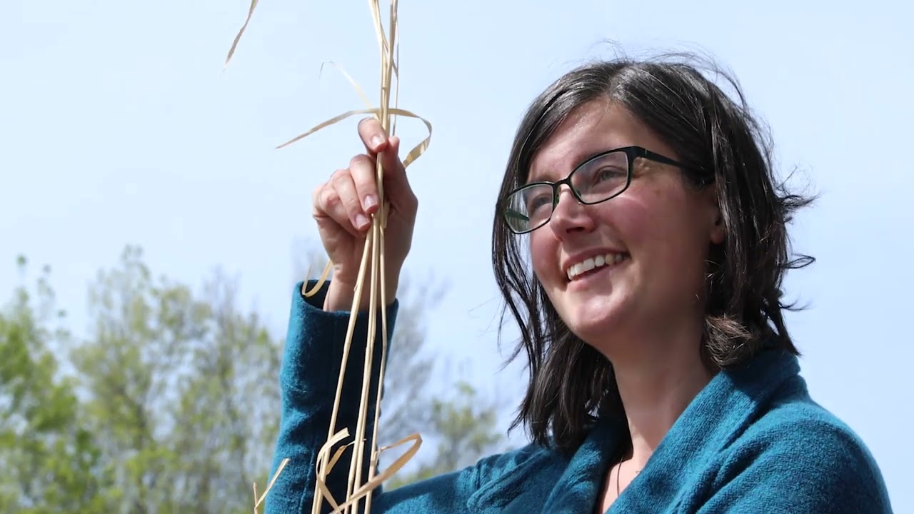 Engineering the Carbon Economy