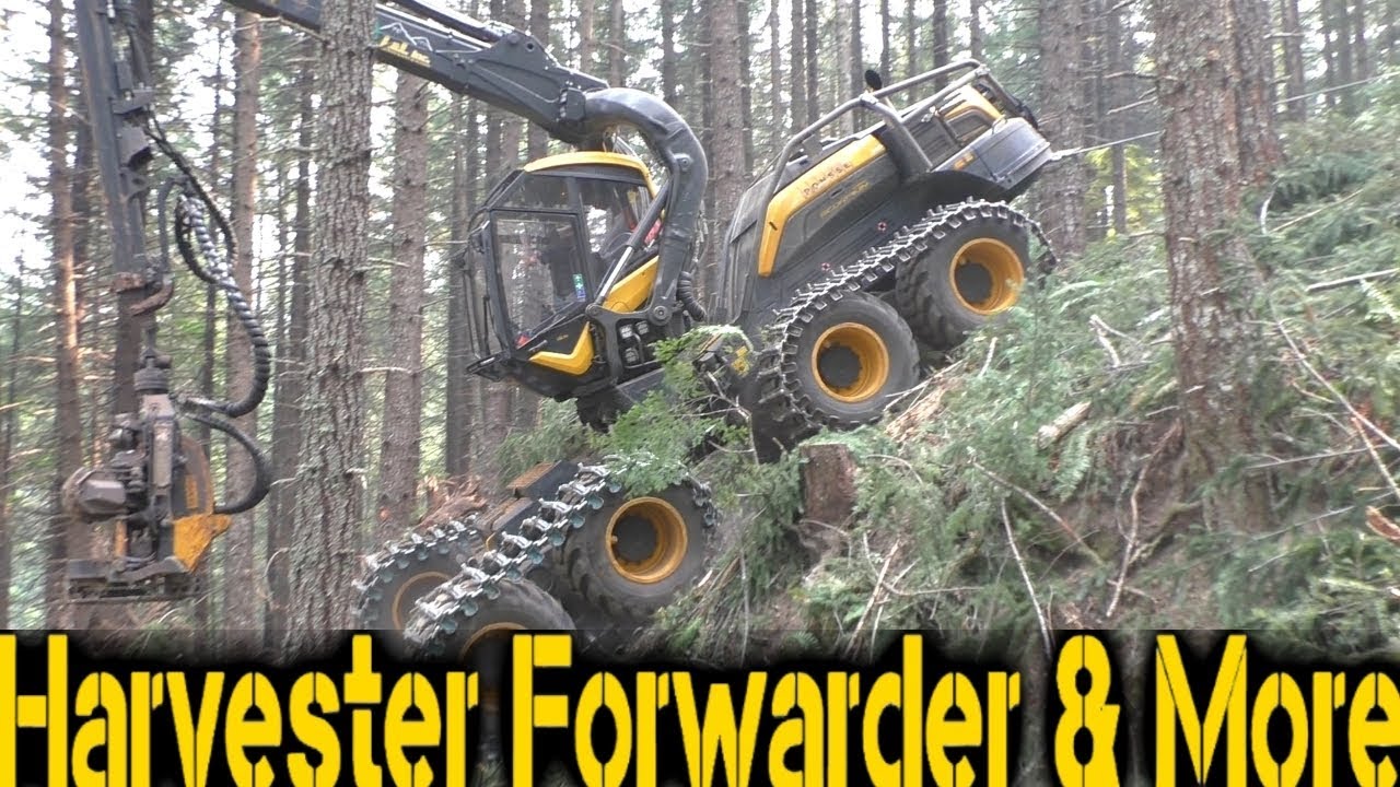 🌲🌲🌲 Best of Logging 2017 🌲🌲🌲 Compilation