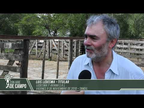 Luis Ledesma -  Ledesma y Arana - Viernes 9 de noviembre de 2018 - Tandil