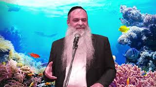 כל הנחלים הולכים לים והים איננו מלא! #הרב_רפאל_זר (הרב רפאל זר) - התמונה מוצגת ישירות מתוך אתר האינטרנט יוטיוב. זכויות היוצרים בתמונה שייכות ליוצרה. קישור קרדיט למקור התוכן נמצא בתוך דף הסרטון