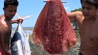 Download lagu Sinabawan Buong Tuna at Giant Pusit! 😱 mp3 Download lagu Sinabawan Buong Tuna at Giant Pusit! 😱 mp3