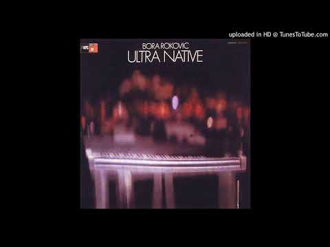 BORA ROKOVIC - Lyrics without lyrics