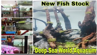 New Fish Stock | Deep Sea World Aquarium Delhi 