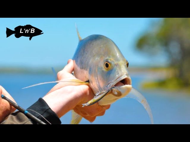 Fishing TROPICAL Mangroves