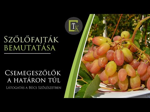 Prosztatitisz-tartalmú cink